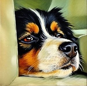 Meet your Posher, Gail